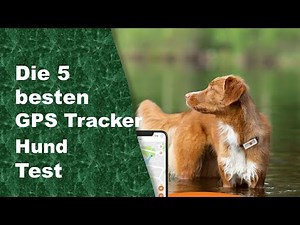 besten GPS Tracker Hund Test 2026