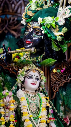 Hamaro dhan Radha Shri Radha Shri Radha#RadheKrishn​ 🌷🌷 #shorts​ #trending​ #status​ #ytshorts​🙏🙏