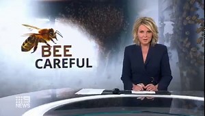 74K views · 618 reactions | Un-BEE-lievable!  It might be in lockdown, but a #Lakemba street was a hive of activity today when a swarm of bees decided to make a new home. It turned one man's grocery shop into quite the drama. #9News | Nightly at 6pm | 9 News Sydney | Facebook