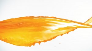 Super Slow Motion Shot of Orange Juice Spiral Splash Isolated on White Background at 1000fps.