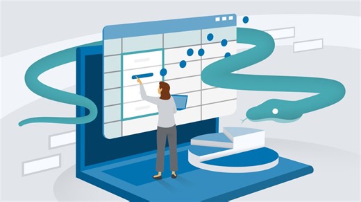 Use cases and workflow impact - Python in Excel Video Tutorial | LinkedIn Learning, formerly Lynda.com