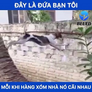 Đúng hóng luôn á 😂😂 🔥Link FULL: https://youtu.be/rcCCcLvrZq0 | Blued