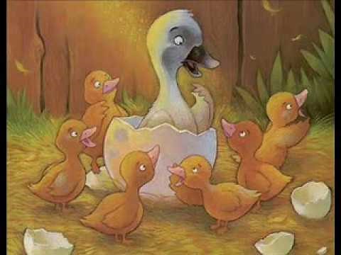 Contes Traditionnels - Le vilain petit canard - Hans Christian Andersen