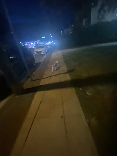 pkaysthegoatman (@e6mc_144)’s videos with PS4 Theme - docuactuviral