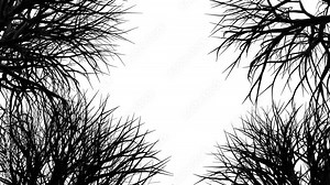 The animation of some trees branches swaying in wind as 3d modeling modern silhouette style.