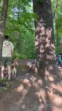 Video of Pine Ridge Campground — Itasca State Park, MN from Maria D.