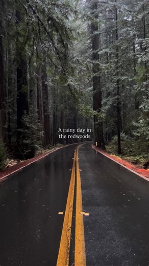 At long last, I’m back in the redwoods 😌 📍 Ave of the Giants, Humboldt County. | Discover California