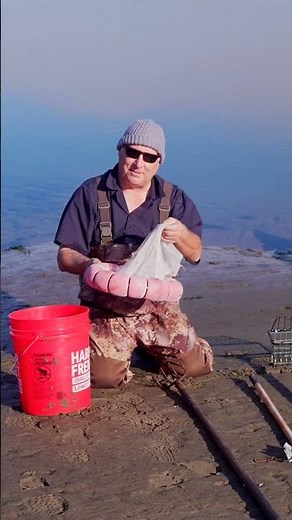 Clamming Equipment and DIY clam self cleaning net/basket #fishing