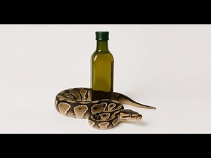 Reptile Got Mites? Give your snake a bath in olive oil!