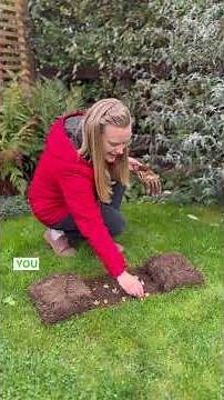 How to plant bulbs in your lawn 🌷