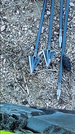 Broadhead tune success! #archery #bowhunting #backyardarchery #compoundbow #tuningtips