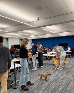 Georgetown Law on Reels