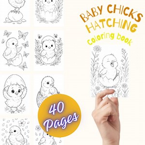 40 Cute Baby Chick Hatching Coloring Pages | Spring Easter Printable | Instant PDF Download - Etsy