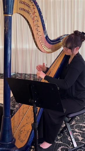 Traveling Tips for Harpists on Wedding Gigs