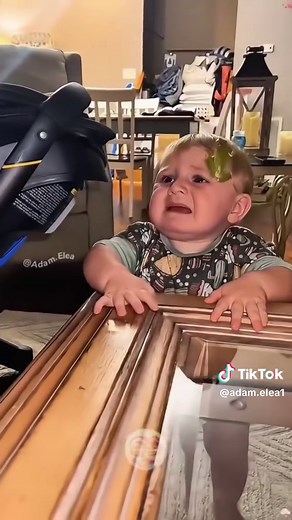 Kinder treffen Tiere – Sofortige Reaktionen 😂