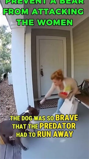Brave Dogs Saving Their Owners! 🐶🛡️ #shorts #animals #hero