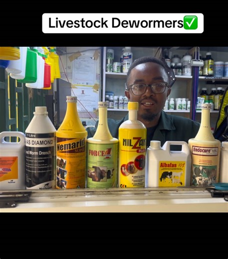 Boost Milk Yield with Timely Deworming in Dairy Farming