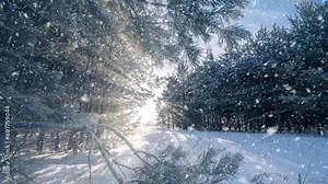 beautiful snowfall and winter landscape, the movement of the sun through a tree in winter, a frozen waterfall, 4k, time lapse, hyperlapse