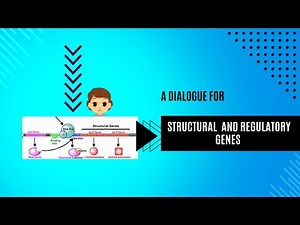 structural genes and regulatory genes| class 12| NCERT