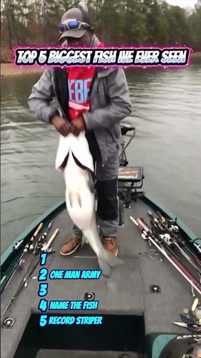Top 5 Biggest Fish I've Ever Seen! 🎣🐟 Massive Monster Catches