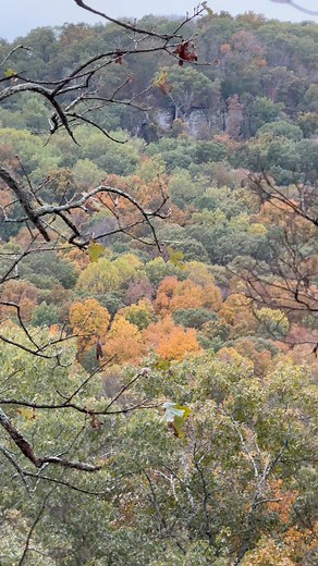 9.7K views · 378 reactions | Amazing Fall Colors of the Shawnee National Forest #fallcolors | Hiking With Shawn | Facebook