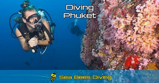Scuba Diving Phuket