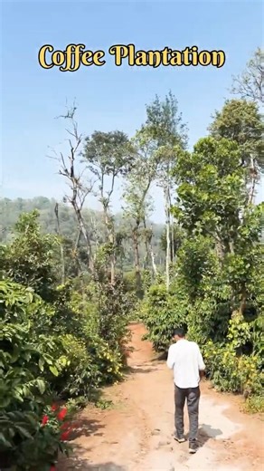 Coorg Trip Part - 5 - Abbey Falls #vikeerstories #coorg #youtubeshorts #viral #trending #reels