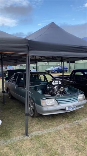 Tipin | who’s next? #vk #pro #wildcards