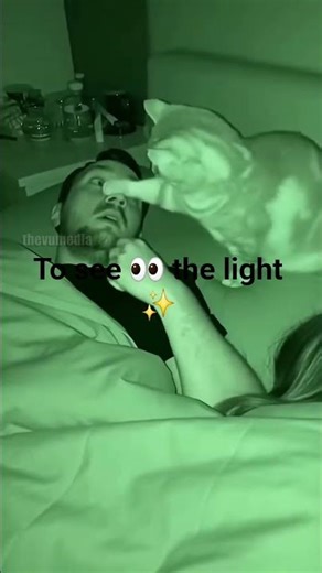 Um, it wasn't me, kitty did it 😳 #focus #live #living