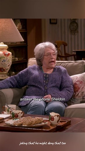 Exploring the Plot of The Big Bang Theory