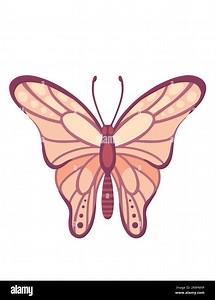 Colorful butterfly insect cartoon style animal design vector illustration isolated on white background Stock Vector Image & Art - Alamy