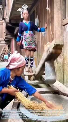 Ancient Threshing Art: The Rhythmic Dance of Grain Harvest