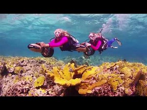 Diving Reefs & Walls in Nassau with Stuart Cove’s Dive Bahamas