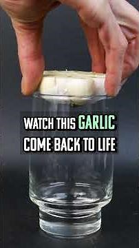 I Put Half a Garlic Bulb in Water… and It Grew Fast!