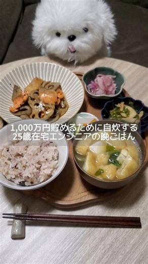 食費約290円 鮭とレンコンのしそ照り焼き #節約 #自炊 #vlog #丁寧な暮らし #asmr