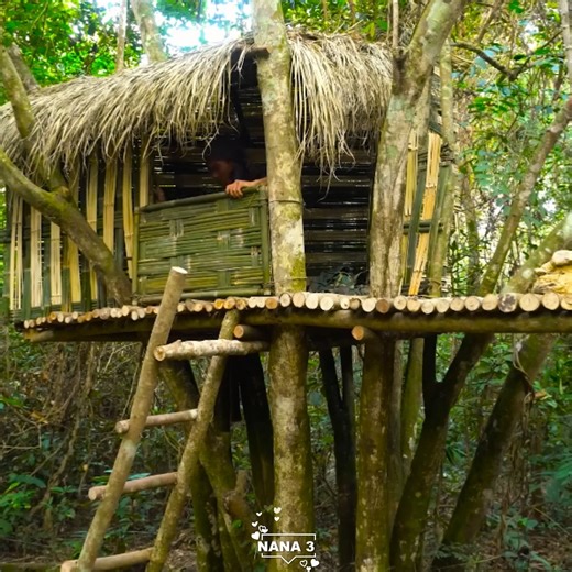 100 Days Challenge – From Ground to Tree Shelter 🌴🪓 #bushcraftlife #wildcamping #naturebuild | Nana 3