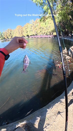 Successful Strategies for Using Walmart Glide Bait in Fishing