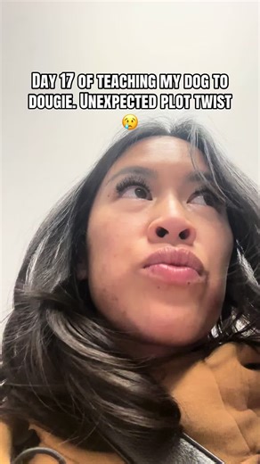 Caring for Koda's Swimmer's Tail Recovery