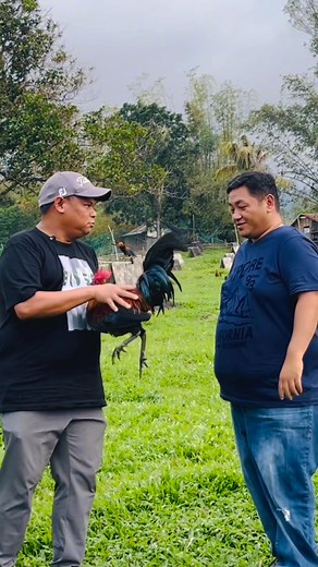 With Boss Patong Ledesma of Red Wings PL Farm | Born to Breed