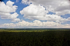 Answers to Popular Scientific Questions