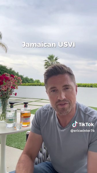 Palm Republic Story: A Journey of Rum Exploration