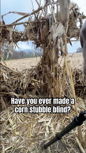 Corn stubble natural ground blind! (How to) #whitetail #bowhunting #deer #deerhunting #yt #ytshorts