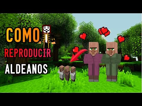 COMO REPRODUCIR ALDEANOS en MINECRAFT 1.16.1-1.15.2