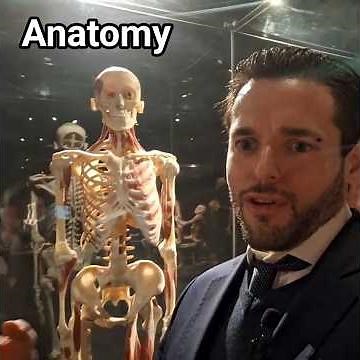Why do we have tendons and ligaments?