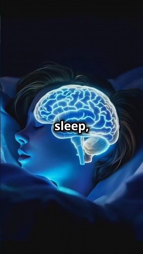 What happens to your brain when you dream