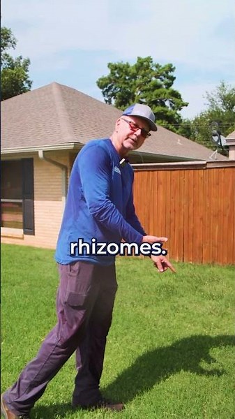 The TRUTH About Bermuda Grass!