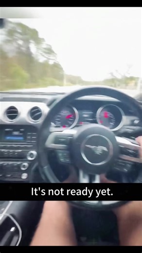 When a Pitbull Looks Tough but Is Actually a Giant Baby