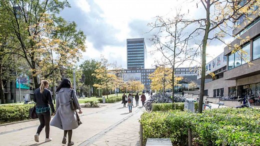 Governance of Migration and Diversity - Public Administration