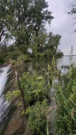 Over the last few years, the water has not gone over the spillway... Thankfully, this year's elevated lake levels have created a swiftly flowing stream. 🌊🎣🐟 | King's Pointe Resort