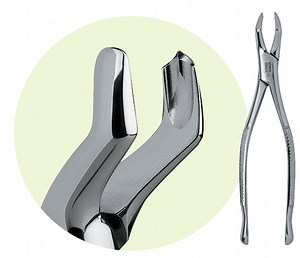 53R Maxillary Forceps from Premier Dental